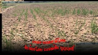 ธรรมชาติโหด ณรงค์ชัย บุญฤทธิ์