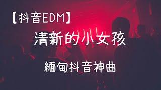 【抖音EDM】清新的小女孩- 緬甸抖音神曲  抖音DJ咚鼓版）| REMIX | DJ | 慢搖 | 舞曲 | DJ | TIKTOK | 重鼓版| EDM [無歌詞x高音質] DJK8