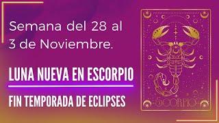 LUNA NUEVA EN ESCORPIO  ASTROLOGÍA DEL 28 AL 3 DE NOVIEMBRE