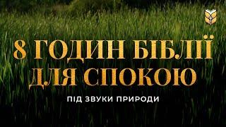 8 годин Біблії для спокою під звуки природи. Сучасний переклад українською мовою