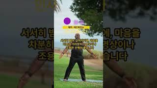하지인 오늘 레드파인 TV 구독자님들께 인사드립니다 #레드파인tv #하지
