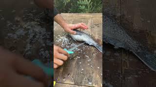 How to Clean a Black Sea Bass