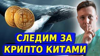 Уникальная платформа! Отслеживаем портфели крипто китов!