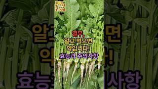 열무, 알고 먹으면 약입니다! 효능과 주의사항 #건강식단 #건강정보 #백세건강