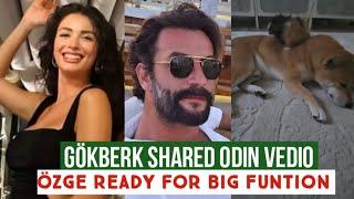 Gökberk demirci Shared New Vedio of Dog Odin !Özge yagiz Ready for Big Funtion