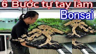 Hướng dẫn tự làm cây Bonsai Thủy Sinh đẹp và đơn giản nhất - Góc Thủy Sinh