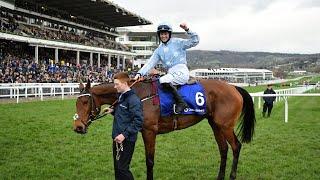 Cheltenham Festival Day 1 NAP & Each-way selection