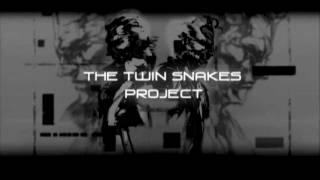 The Twin Snakes Project - COMING SOON!