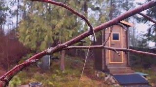 Winter planting of Finnish Garden Centre bargain plants