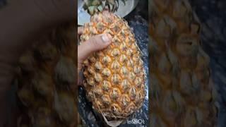 Pineapple Benefits