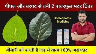 Homeopathic mother tincture made from peepal and banyan leaves