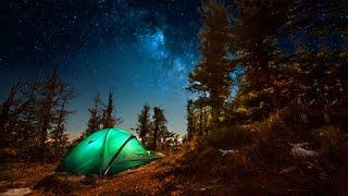 Campfire Sounds - Relaxing Forest and Nature Soundscape: Camping Under the Stars