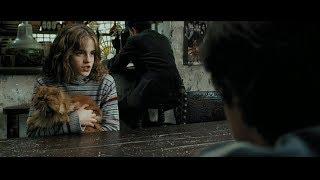 Harry Potter and the Prisoner of Azkaban - Reencounter of harry, Ron and Hermione scene