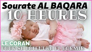 ►[SOURATE AL BAQARA 10 HEURES  ]►►  Coran Pour Dormir BEBE