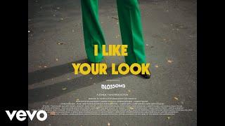 Blossoms - I Like Your Look