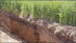 Overview of Soils in the Columbia Basin