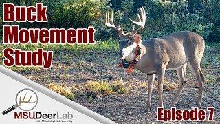 BUCK MOVEMENT STUDY - EPISODE 7: DO BUCKS BED IN THE SAME AREA EVERY NIGHT?