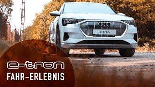 SO fährt sich der Audi e-tron! Ein Petrolhead im E-Audi.