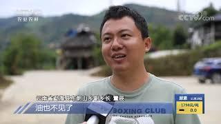 《中国三农报道》 20201120|CCTV农业