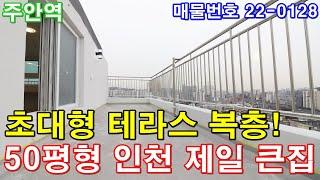 인천복층빌라 분양 50평 주안역세권+초대형 테라스+큰방4개+욕실2개+발코니2개+대형 창고제공+아파트형 주차시설+인천에서 제일 큰집