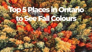 Autumn's Masterpiece: Top 5 Places to See Fall Colors in Ontario