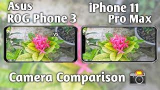 Asus ROG Phone 3 vs iPhone 11 Pro Camera Test Comparison