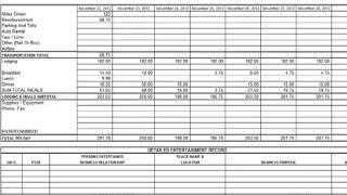 Creating/Auditing Expense Reports