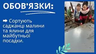  Робота у Польщі для чоловіків і жінок!  СОРТУВАННЯ САДЖАНЦІВ