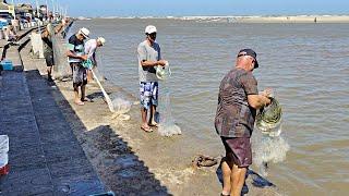 Pescas de tarrafas, 31-10-24, Bueiro / Mulato, Imbé, RS. Um show! #pescadetarrafa #mulletfishing