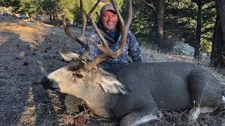 Trophy mule deer success in Colorado