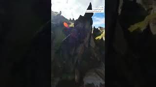 النصيحة المختصة لابن حبال البعلي! راشد الحليبية