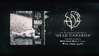 ADA - DEAD CANARIES [SINGLE] (2024) SW EXCLUSIVE