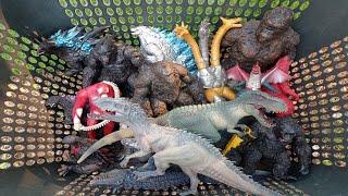 Dinosaurs T Rex,indominus Rex,kong x Godzilla empire,burning Godzilla,skar king,mosasaurus,kingkong