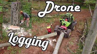 #Logging,Hard work, Skidder,Drone dji mavic mini)