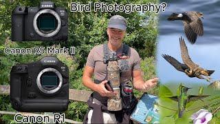 Canon R1 & Canon R5 Mark II, Should You Buy/Upgrade for Bird Photography? My Thoughts.