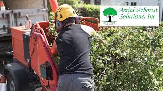 Aerial Arborist Solutions