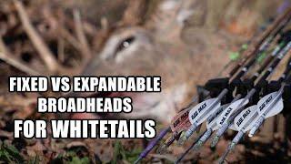 FIXED VS MECHANICAL BROADHEADS | Best Choice For Whitetails | Should You Choose One or Use Both?