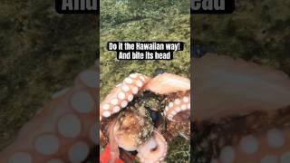 How to brain octopus without biting them! #takotuesday #diving #fishing #pescasubmarina