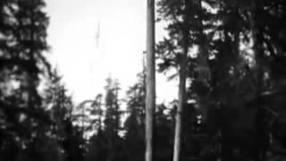 Tree Topping and Log Rolling   Schafer Bros  Historic Footage