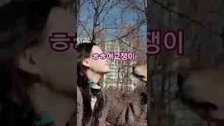 뭔 개소리야 ㅎ.골든리트리버 경단이 애교 뿜뿜.골든리트리버의 중년을 넘었을 시절에.