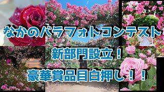 なかのバラフォトコンテスト　～応募される方、必見です！～（2023信州なかのバラまつり　＃３）