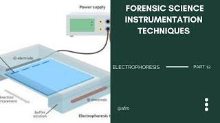 FORENSIC SCIENCE INSTRUMENTATION TECHNIQUES! PART 12! ELECTROPHORESIS!