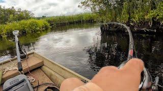 Fishing ALLIGATOR INFESTED River For Largemouth Bass