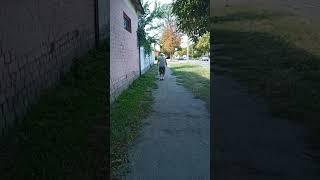 Чудеса Иисуса. Церковь Еммануил Кременчуг