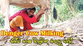 cow milking vlog/ଗାଇ ଦୁହିଁବା ସିଖନ୍ତୁ/village life vlog