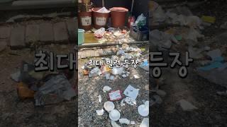 하…새로운 빌런의 등장#부라보캠프 #부라보tv #골든리트리버 #법수치계곡 #양양캠핑장 #현미 #반려견