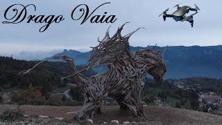 FLYING in DRAGO VAIA - Dolomite Wood Art - Drone 4k