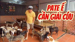Ghé Thăm Và ủng hộ Gia Đình Nhỏ Của Trọng