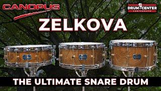 The BEST Boutique Snare Drum? The Canopus Zelkova