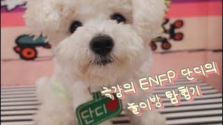 극강의 ENFP 단디의 놀이방 탐험기